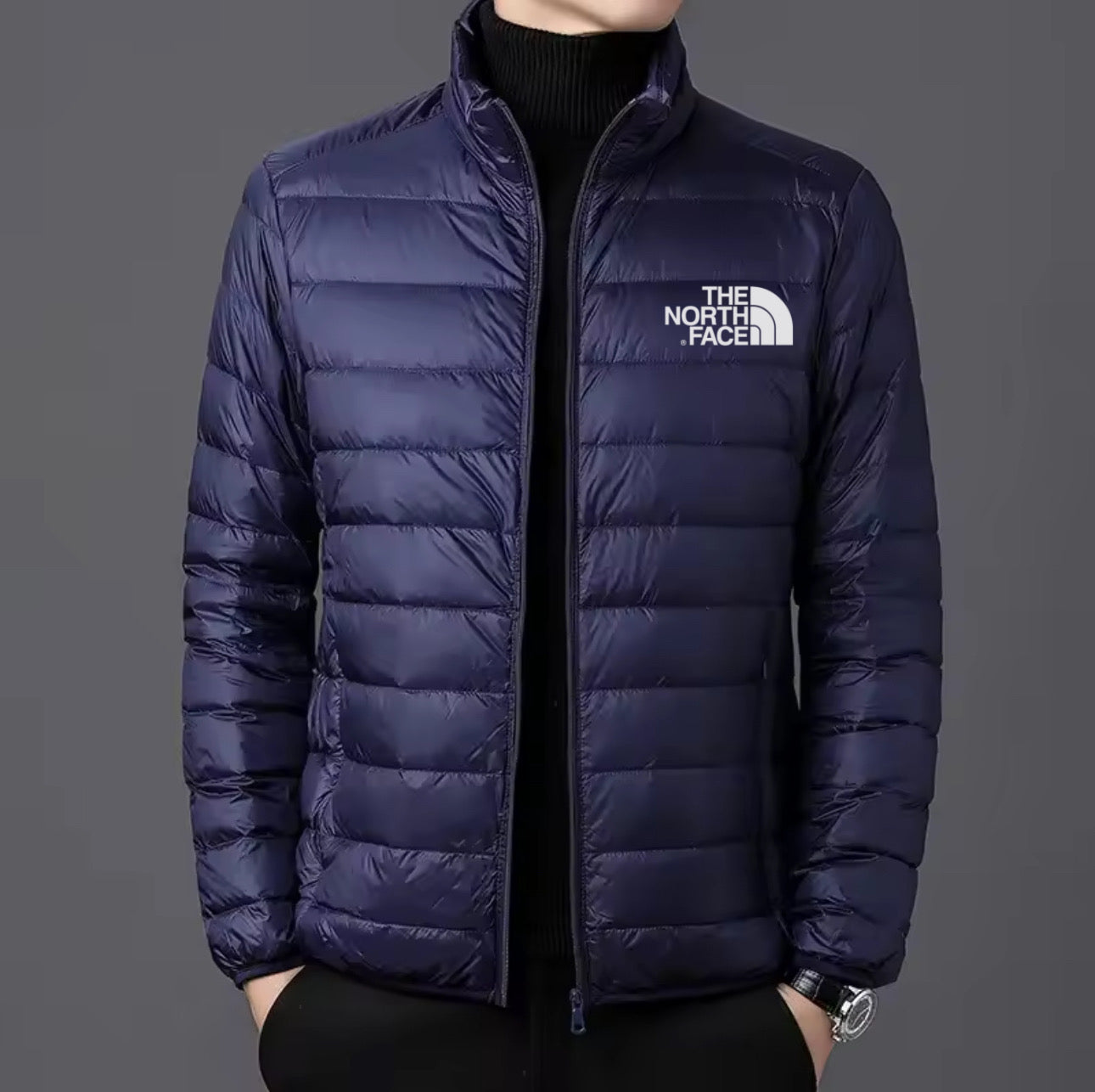 Ανδρικό Μπουφάν The North Face Μπλε
